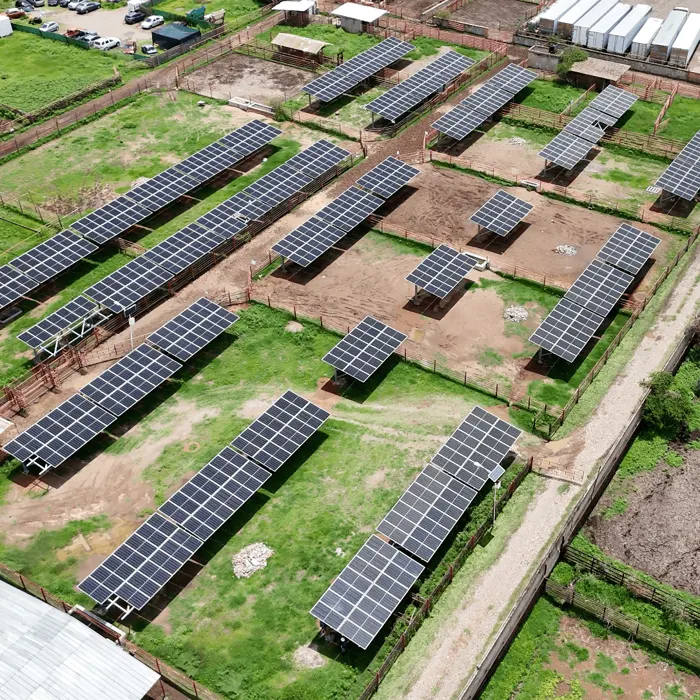Planta solar en piso en el campo